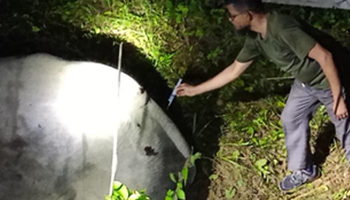 লোহাগাড়ায় ট্রেনের আঘাতে আহত হাতিটির চিকিৎসা চলছে