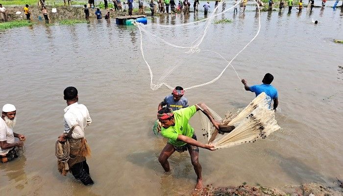 বুড়ির বাঁধে মাছ ধরার উৎসবে মানুষের ঢল