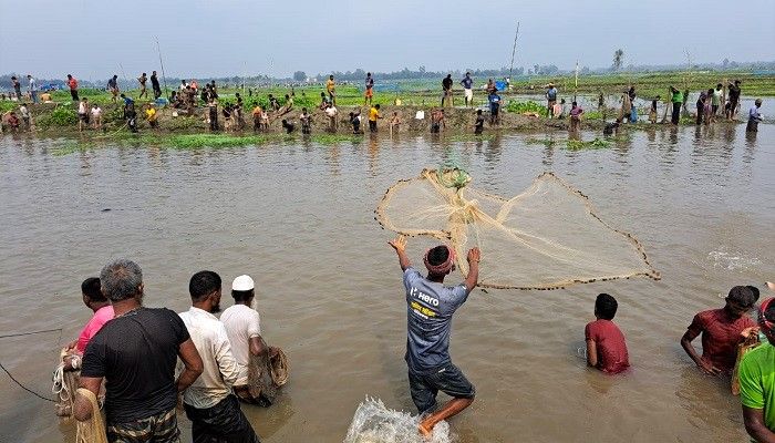 বুড়ির বাঁধে মাছ ধরার উৎসবে মানুষের ঢল