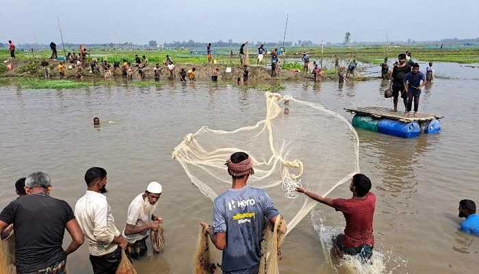 বুড়ির বাঁধে মাছ ধরার উৎসবে মানুষের ঢল