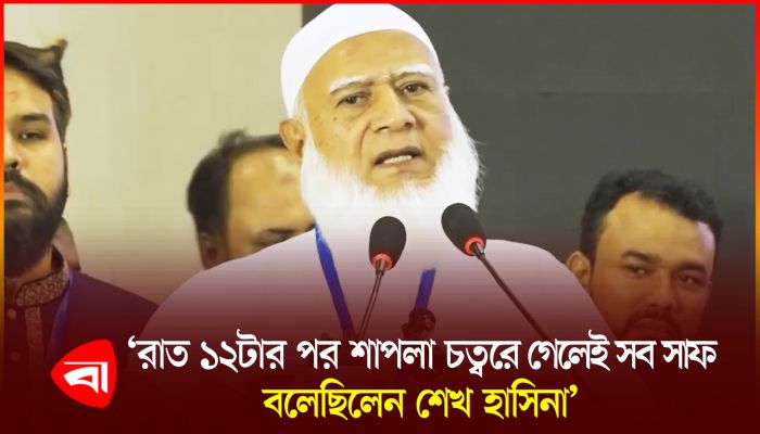‘শাপলা চত্বরে যাওয়া নিয়ে নিষেধাজ্ঞা দিয়েছিল স্বৈরাচার সরকার’ 