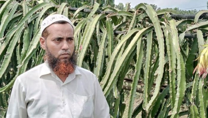 প্রাকৃতিক দুর্যোগে ড্রাগনের ক্ষতি