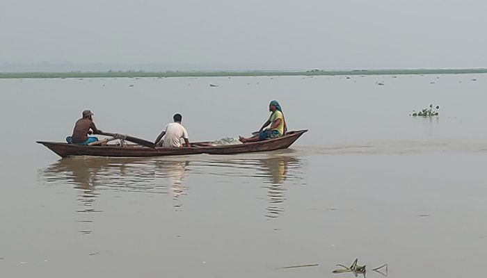 অভয়াশ্রমেও অনিরাপদ মা ইলিশ