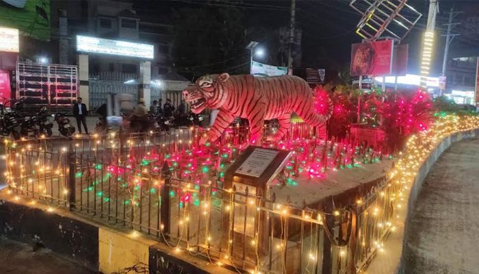 জিয়া ক্রিকেট টুর্নামেন্টে বর্ণিল সাজে মহানগরী