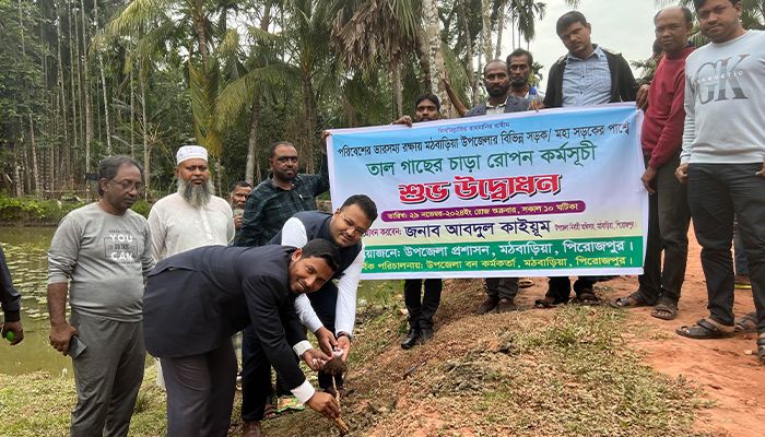বজ্রপাত থেকে রক্ষা পেতে তালবীজ রোপণ