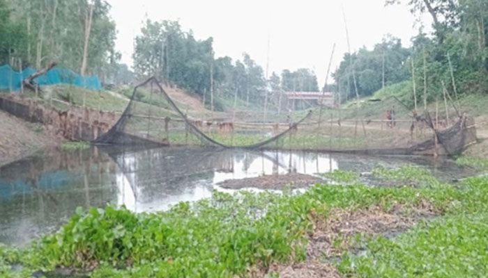 উন্মুক্ত জলাশয়ে মাছ  ধরতে বাধা
