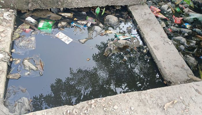 মশা নিধন কার্যক্রম বন্ধ অতিষ্ঠ নগরবাসী