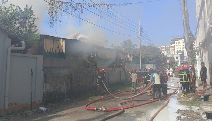 ময়মনসিংহে কীটনাশক কারখানায় আগুন, ২ ঘণ্টার প্রচেষ্টায় নিয়ন্ত্রণে