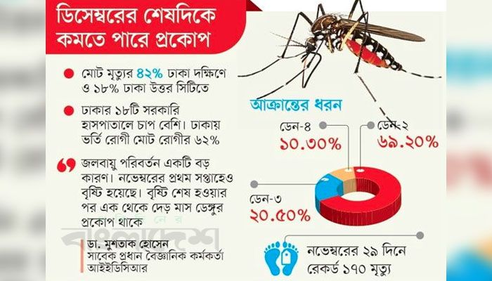 শীতেও ভোগাবে ডেঙ্গু 