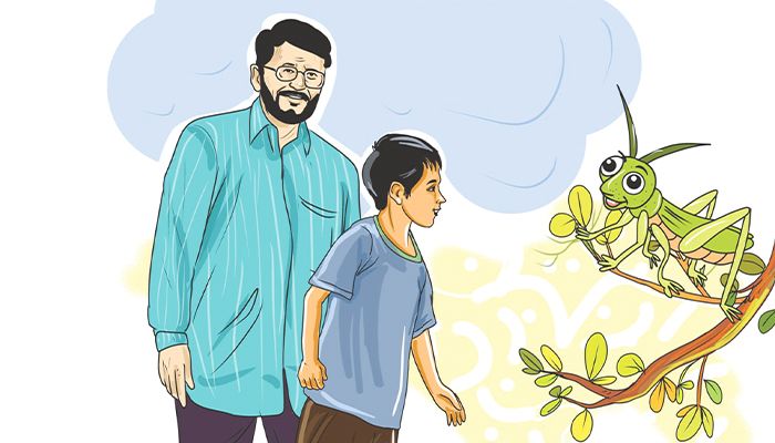 ফড়িং ও দাদু