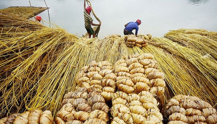 পাটশিল্পের ঋণ পরিশোধে গ্রেস পিরিয়ড বাড়ল