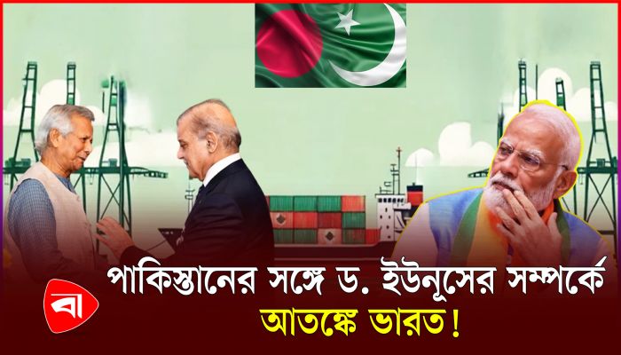 দেশের বন্দরে পাকিস্তানি জাহাজ, নড়েচড়ে বসল ভারত