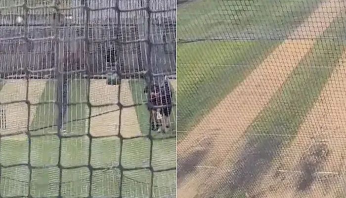 যে কারণে পুরোনো পিচে অনুশীলন সেরেছেন রোহিতরা