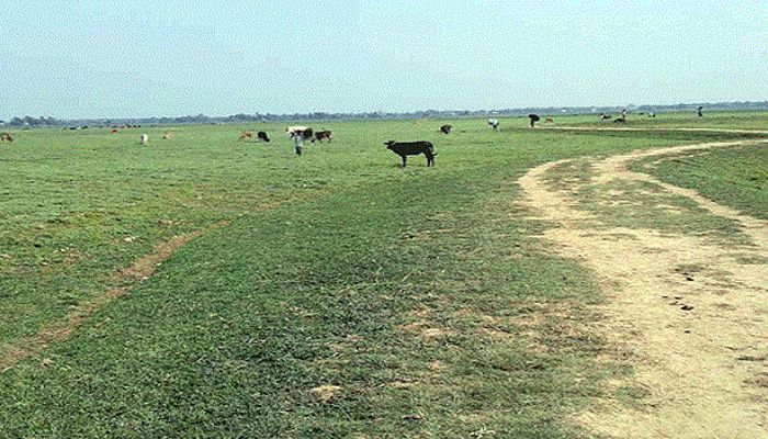 ৫০ কোটি টাকার খাসজমি বিক্রির অপচেষ্টা