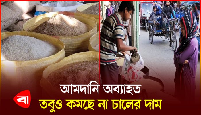 হিলিতে চাল আমদানি অব্যাহত তবু কমছে না দাম
