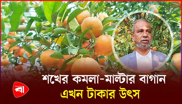 শখের বাগান থেকে লাখ লাখ টাকা আয়