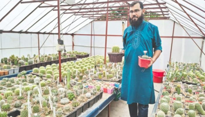 পুলিশ কর্মকর্তার বাগানে ৫৫ হাজার ক্যাকটাস