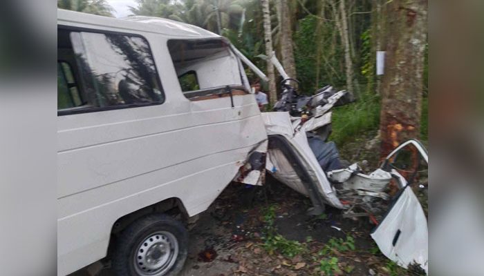 ফিলিপাইনে সড়ক দুর্ঘটনায় নিহত ৭