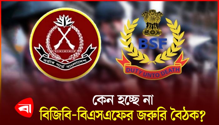 এ বছর হচ্ছে না বিজিবি-বিএসএফ বৈঠক 