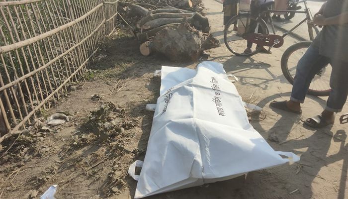 দিনাজপুরে ট্রাকের সঙ্গে বাইকের সংঘর্ষে দুইজন নিহত