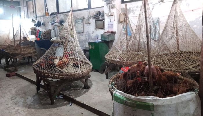 সরবরাহ সংকটে হঠাৎ বেড়েছে মুরগির দাম