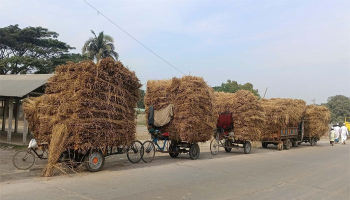 খড়ের আঁটির বাজার