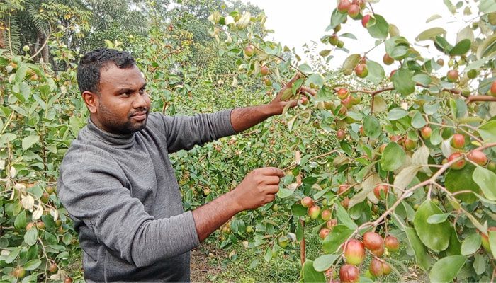 কৃষি উদ্যোক্তা হয়ে সফল রাকিবুল