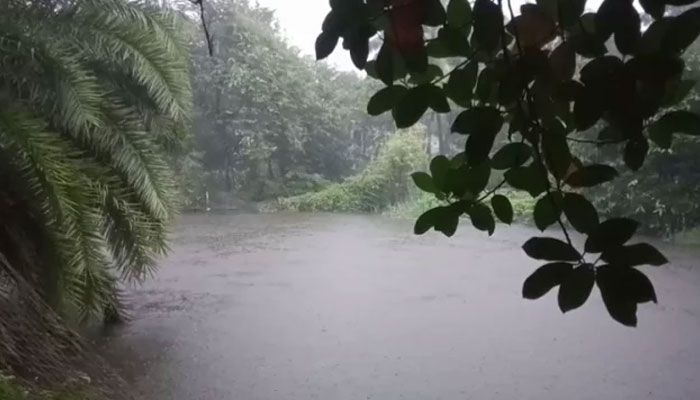 নিম্নচাপের প্রভাবে উপকূলবর্তী এলাকায় গুঁড়ি গুঁড়ি বৃষ্টি