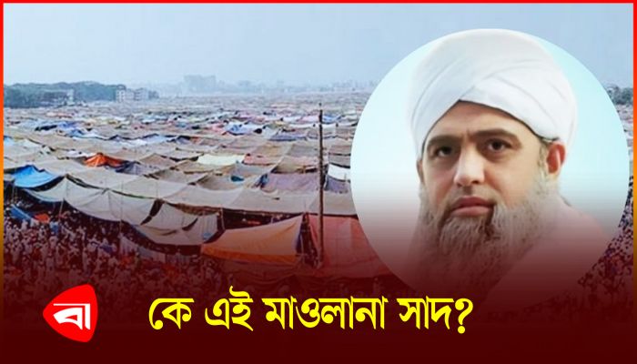 মাওলানা সাদের আসল পরিচয় কী?