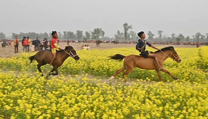 বগুড়ায় ঐতিহ্যবাহী ঘোড়দৌড় প্রতিযোগিতা