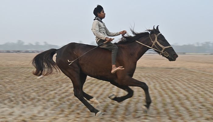 বগুড়ায় ঐতিহ্যবাহী ঘোড়দৌড় প্রতিযোগিতা