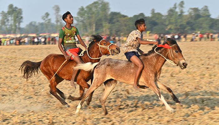 বগুড়ায় ঐতিহ্যবাহী ঘোড়দৌড় প্রতিযোগিতা