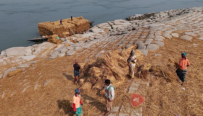 উত্তরাঞ্চলের খড় বাণিজ্য