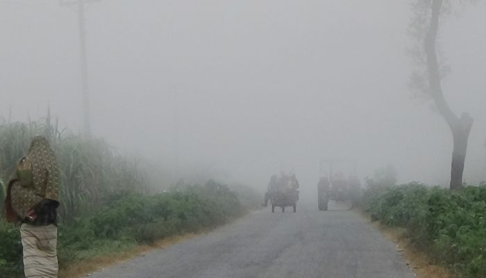 শীতে কাঁপছে চুয়াডাঙ্গা, দুর্ভোগে জনজীবন