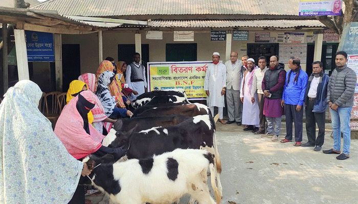 ফটোসেশনের পর বাছুর ফেরত নিলো মানবসেবা উন্নয়ন সংস্থা!