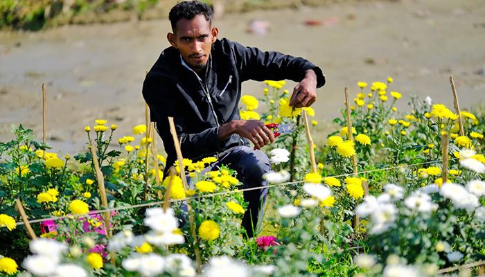 ফুলের রাজ্য গদখালী