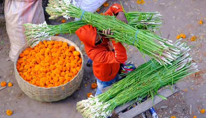 ফুলের রাজ্য গদখালী