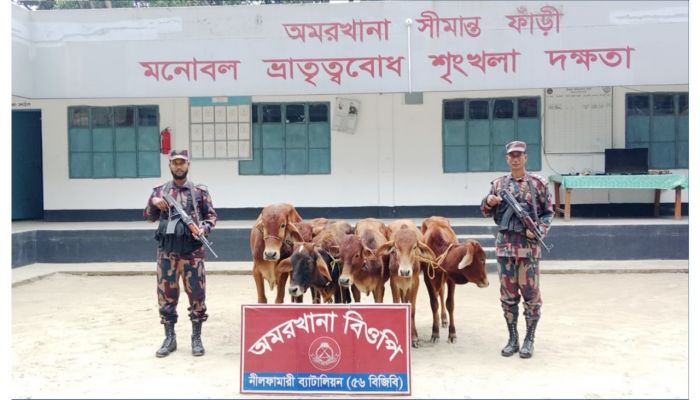 প্রবা ফটো