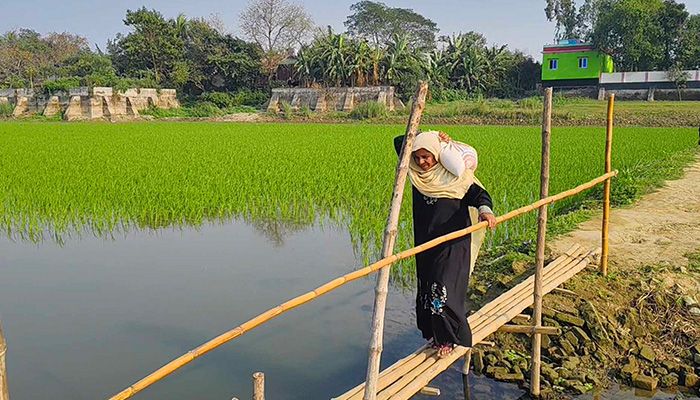 সড়ক না থাকায় কিশোরগঞ্জের ভৈরব উপজেলার আগানগর ইউনিয়নের শ্যামপুর গ্রাম বিচ্ছিন্ন জনপদে পরিণত হয়েছে। সম্প্রতি তোলা। প্রবা ফটো