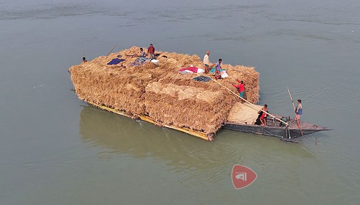 উত্তরাঞ্চলের খড় বাণিজ্য