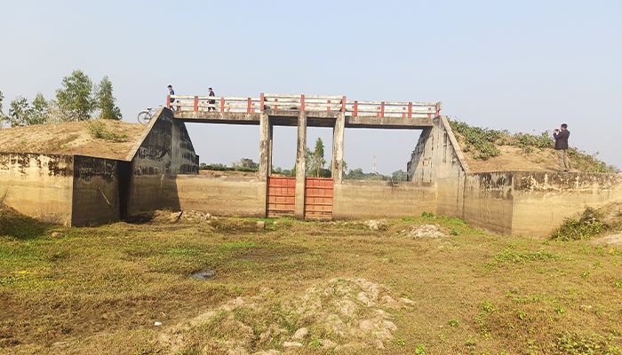 অকেজো স্লুইসগেটটি এখন কৃষকের গলার কাঁটা