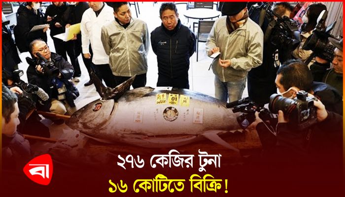 ২৭৬ কেজির টুনা মাছ বিক্রি হলো ১৬ কোটিতে