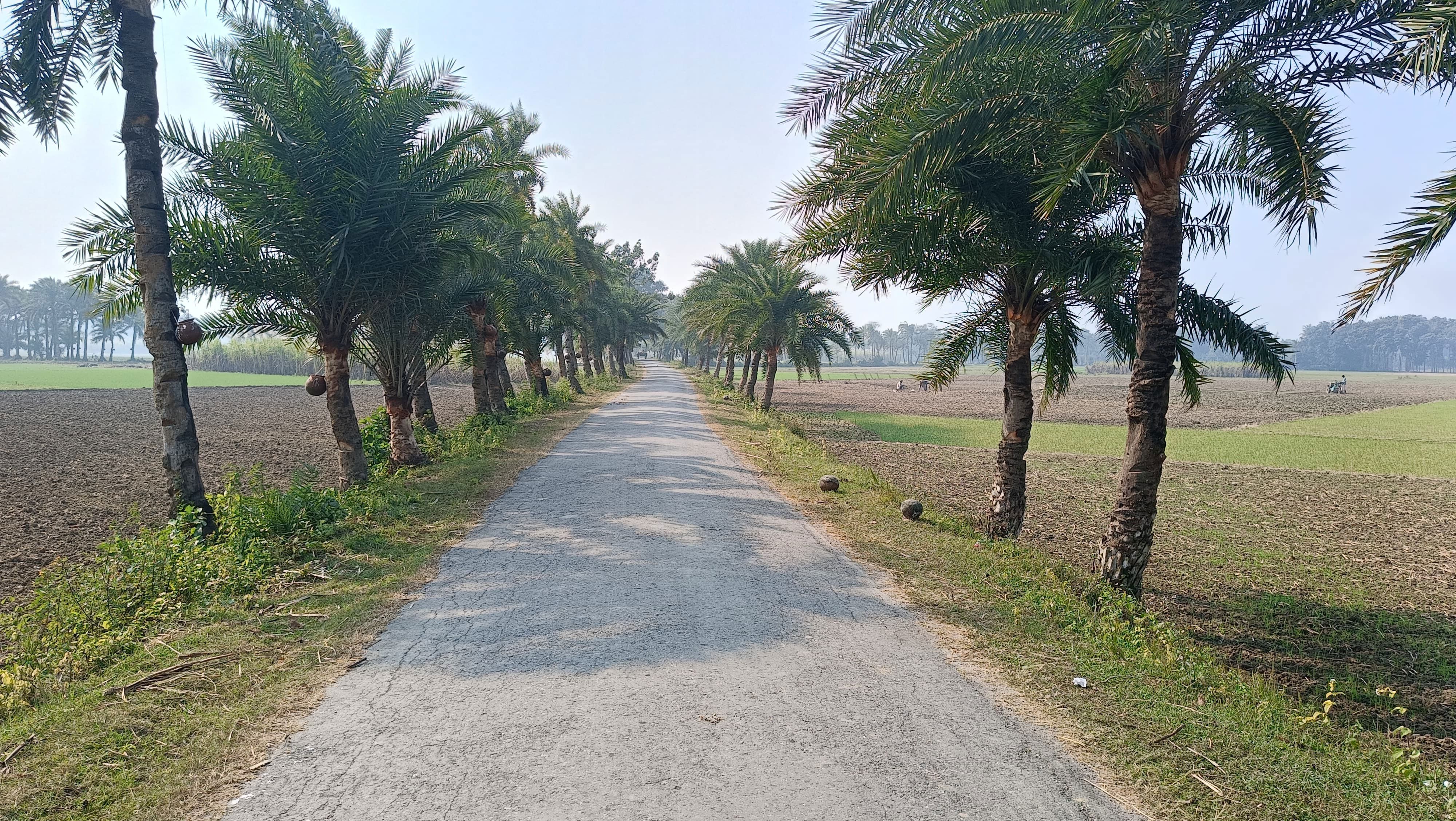 অনিন্দ্যসুন্দর চলনবিল
