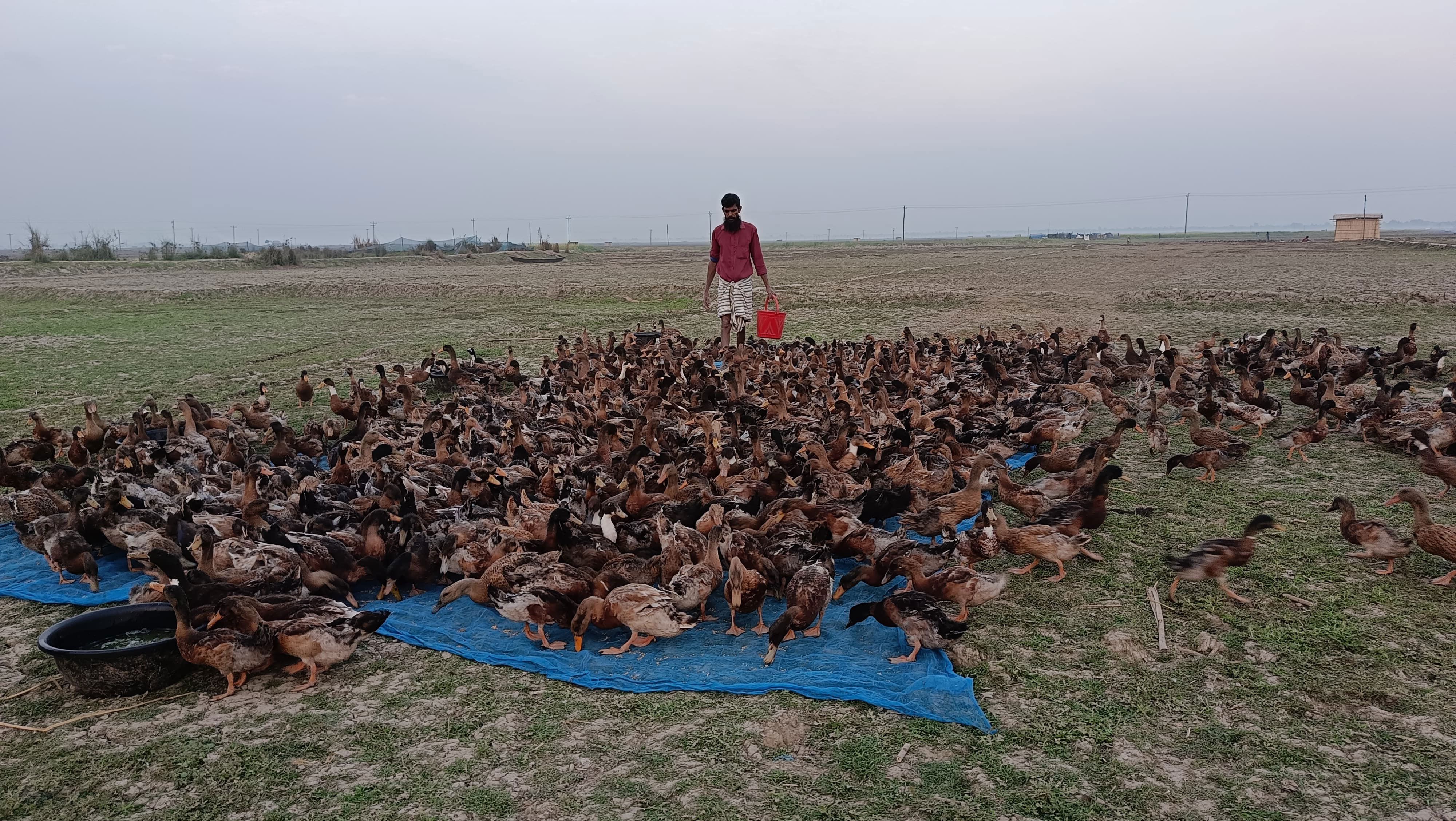 অনিন্দ্যসুন্দর চলনবিল
