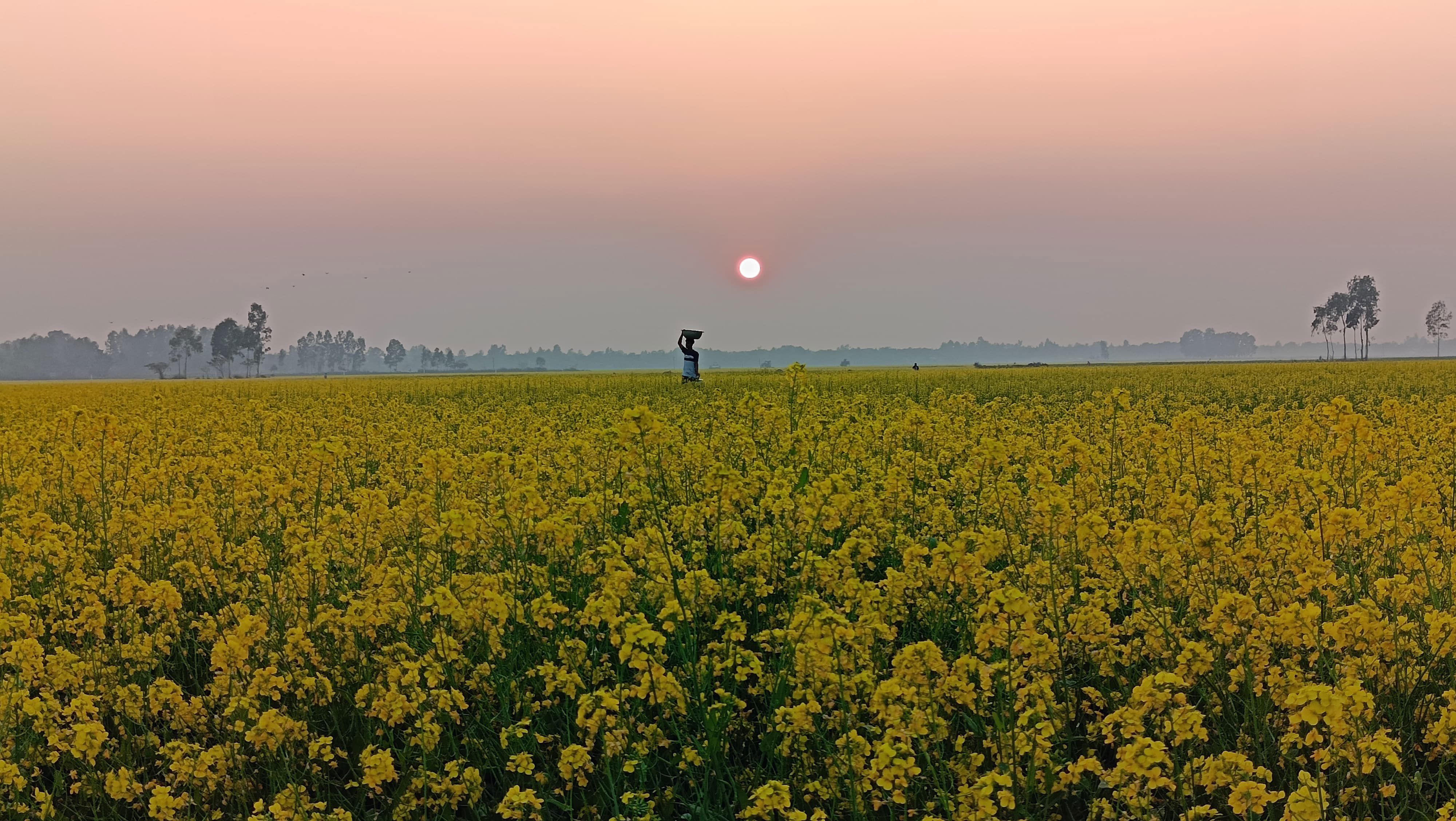 অনিন্দ্যসুন্দর চলনবিল