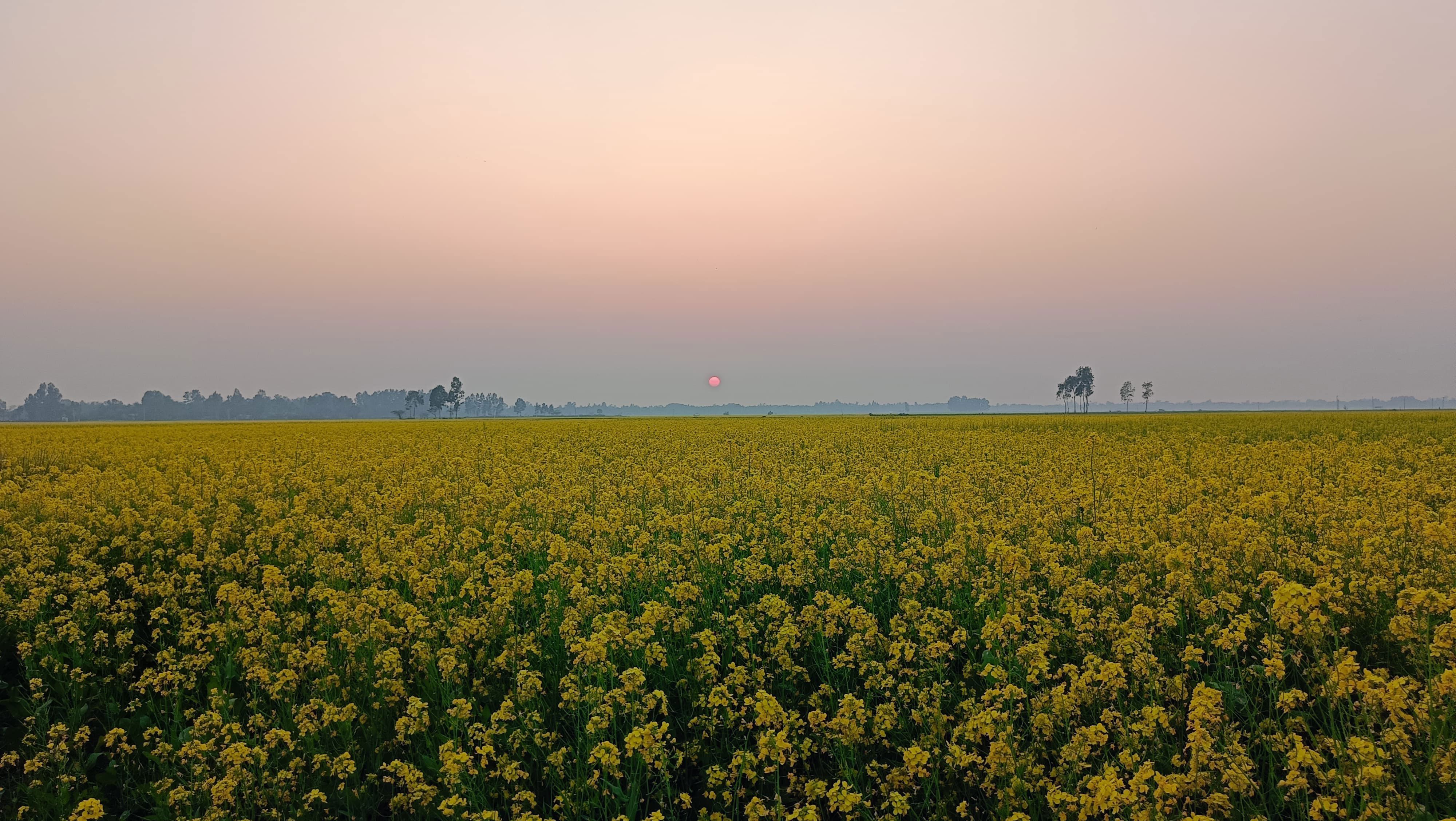 অনিন্দ্যসুন্দর চলনবিল