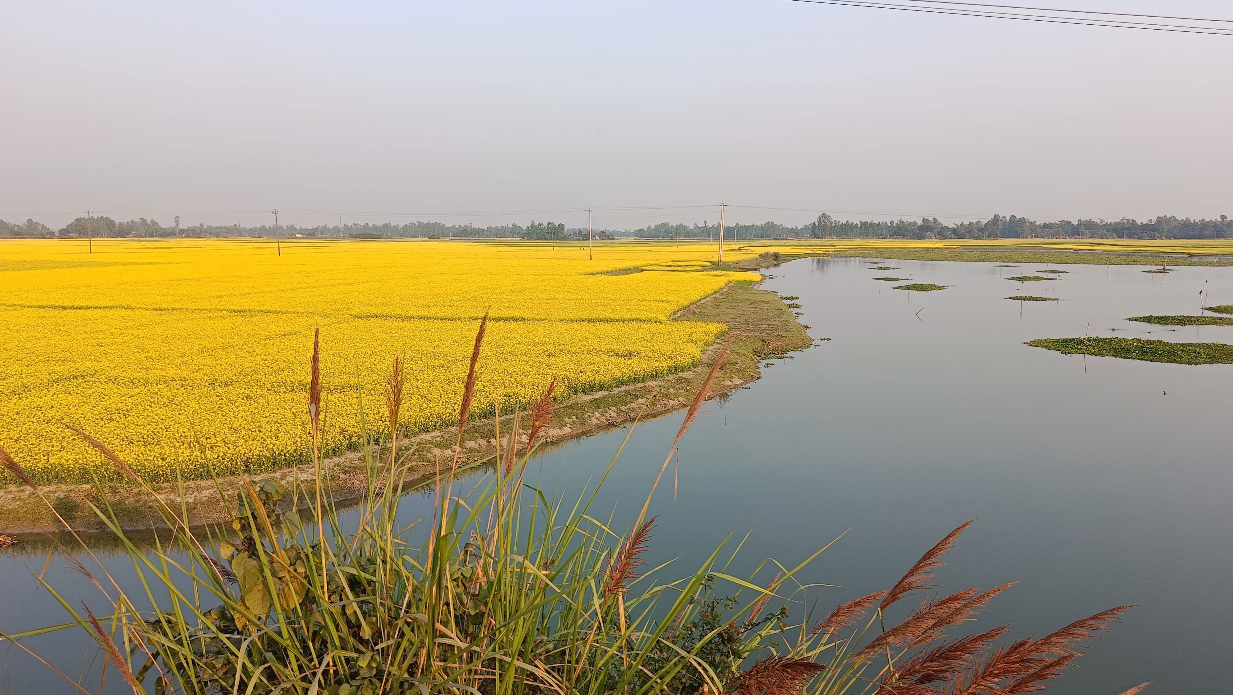 অনিন্দ্যসুন্দর চলনবিল