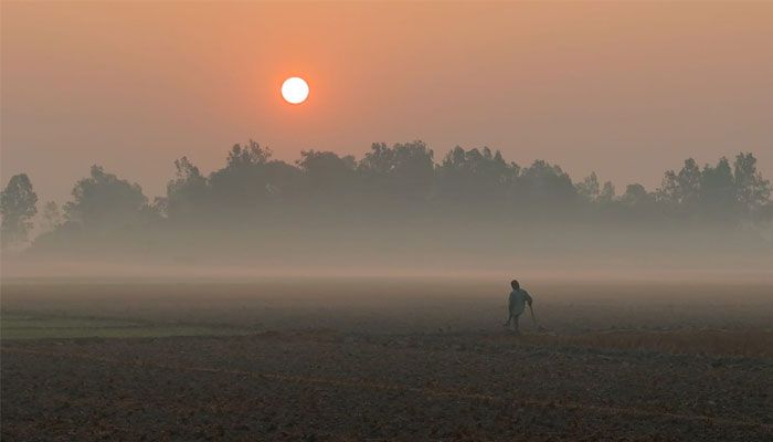 কুয়াশামাখা ভোর