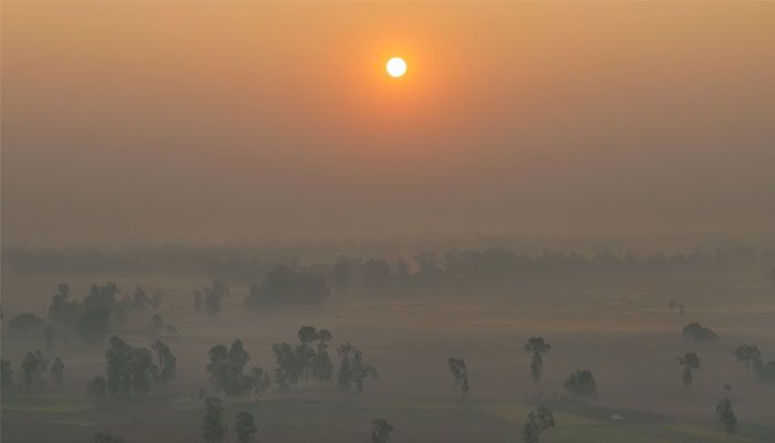 কুয়াশামাখা ভোর
