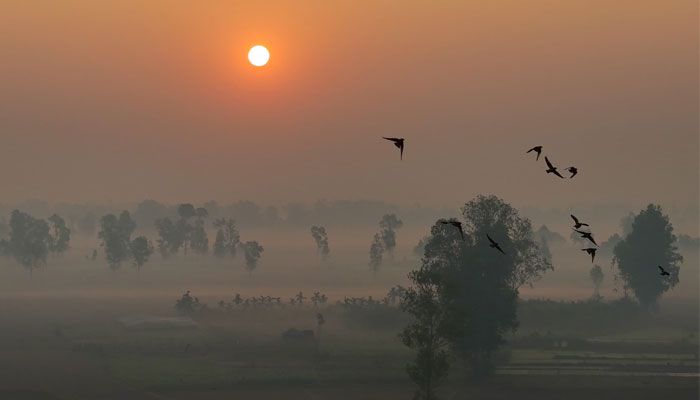 কুয়াশামাখা ভোর